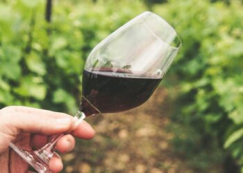 Kadınların Gücü: Türkiye Şarap Sektöründe Sivil Direniş!