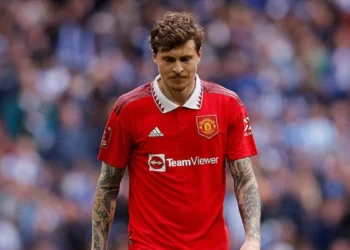 Lindelof Kadıköy Sakini Oluyor