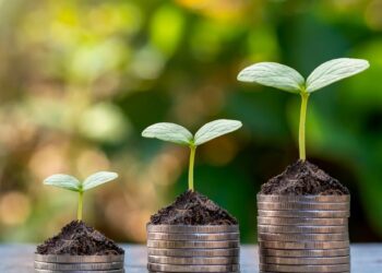 Yeşil Ekonomi Nedir Ve Neden Önemlidir?