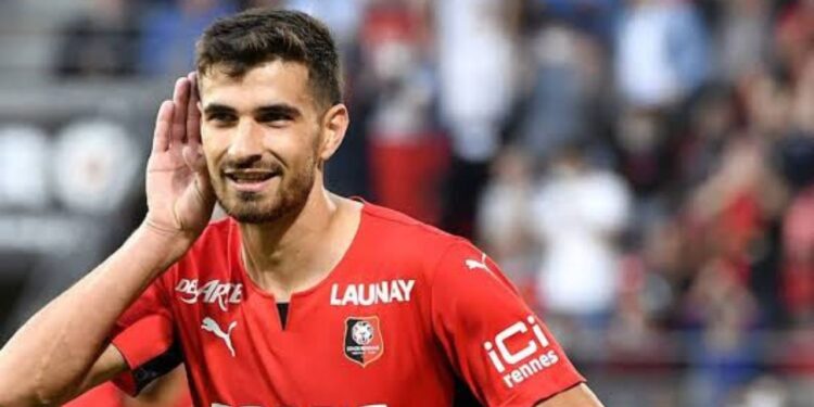 Rennes Forması Giyen Martin Terrier Kimdir?