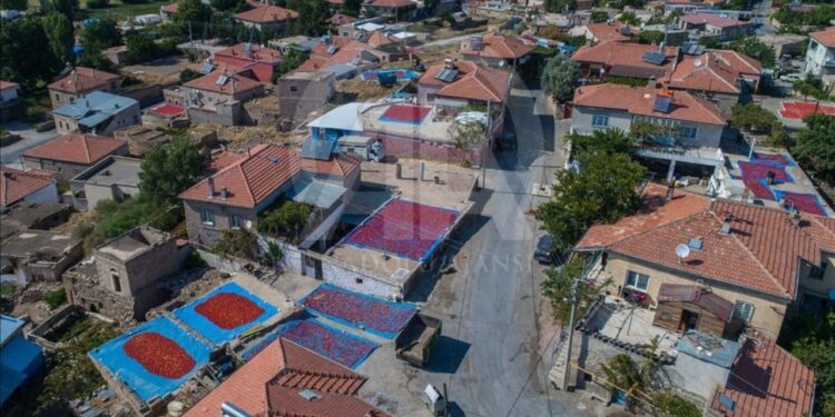 Kayseri’de tek bir mahallede üretiliyor. İstanbul, Ankara’dan sonra Avrupa yolculuğu başladı