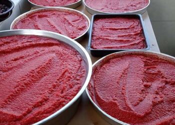 Bozulmayan salça nasıl hazırlanır? Gaziantep’te ev hanımları salçayı böyle hazırlıyor