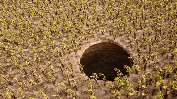 Ayçiçeği tarlasında devasa obruk Ayçiçeği tarlasında devasa obruk