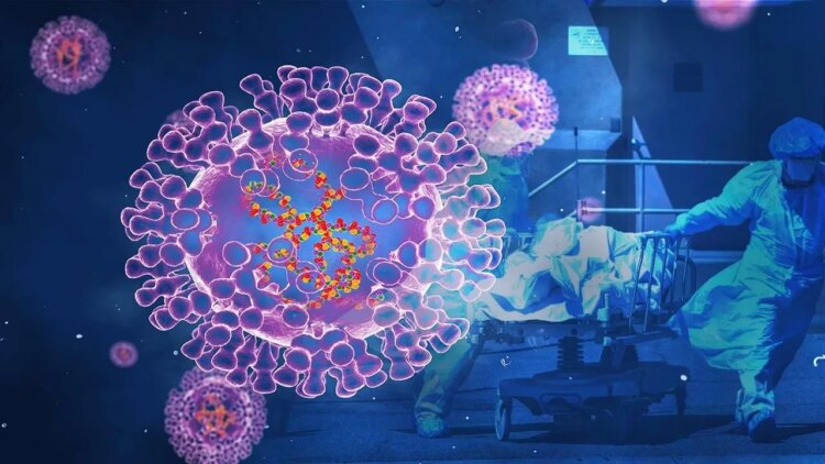 Pakistan’da maymun çiçeği vakası tespit edildi