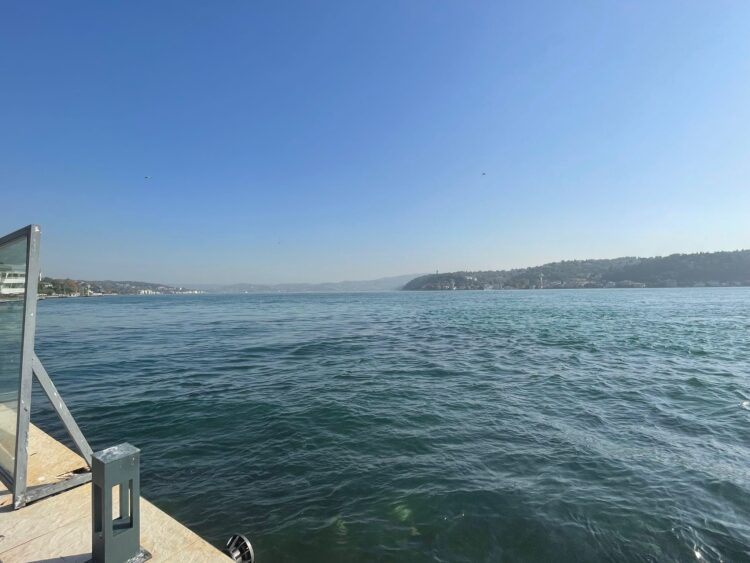 Boğaz’da tehlike alarmı. İSKİ gerçeği açıkladı Boğaz’da tehlike alarmı. İSKİ gerçeği açıkladı