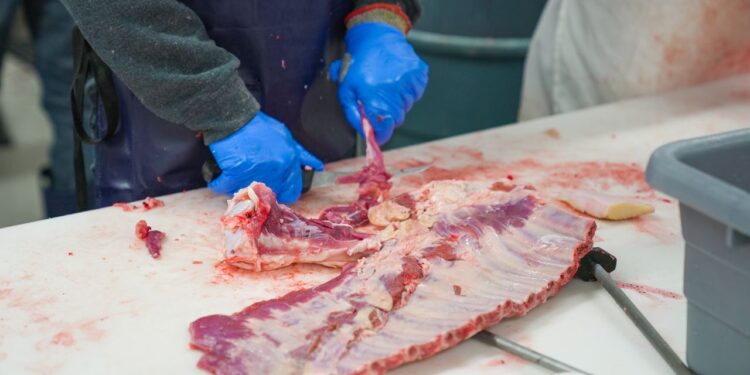 Eskiden çöpe giderdi! Şimdi marketlerde 59 TL Eskiden çöpe giderdi! Şimdi marketlerde 59 TL